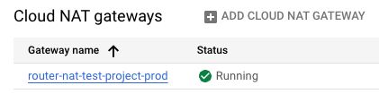 how to verify set up on google cloud platform with Cloud NAT gateway